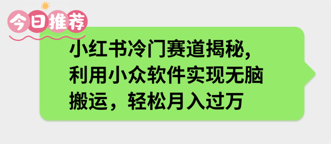 小红书冷门赛道揭秘,利用小众软件实现无脑搬运,轻松月入过万网创吧-网创项目资源站-副业项目-创业项目-搞钱项目网创吧