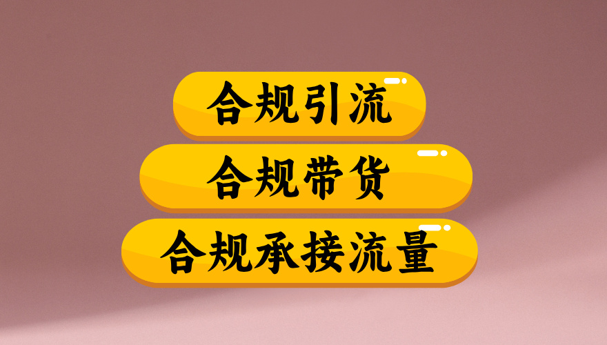 合规引流、合规并且高效地做带货、合规承接流量(揭秘)网创吧-网创项目资源站-副业项目-创业项目-搞钱项目网创吧